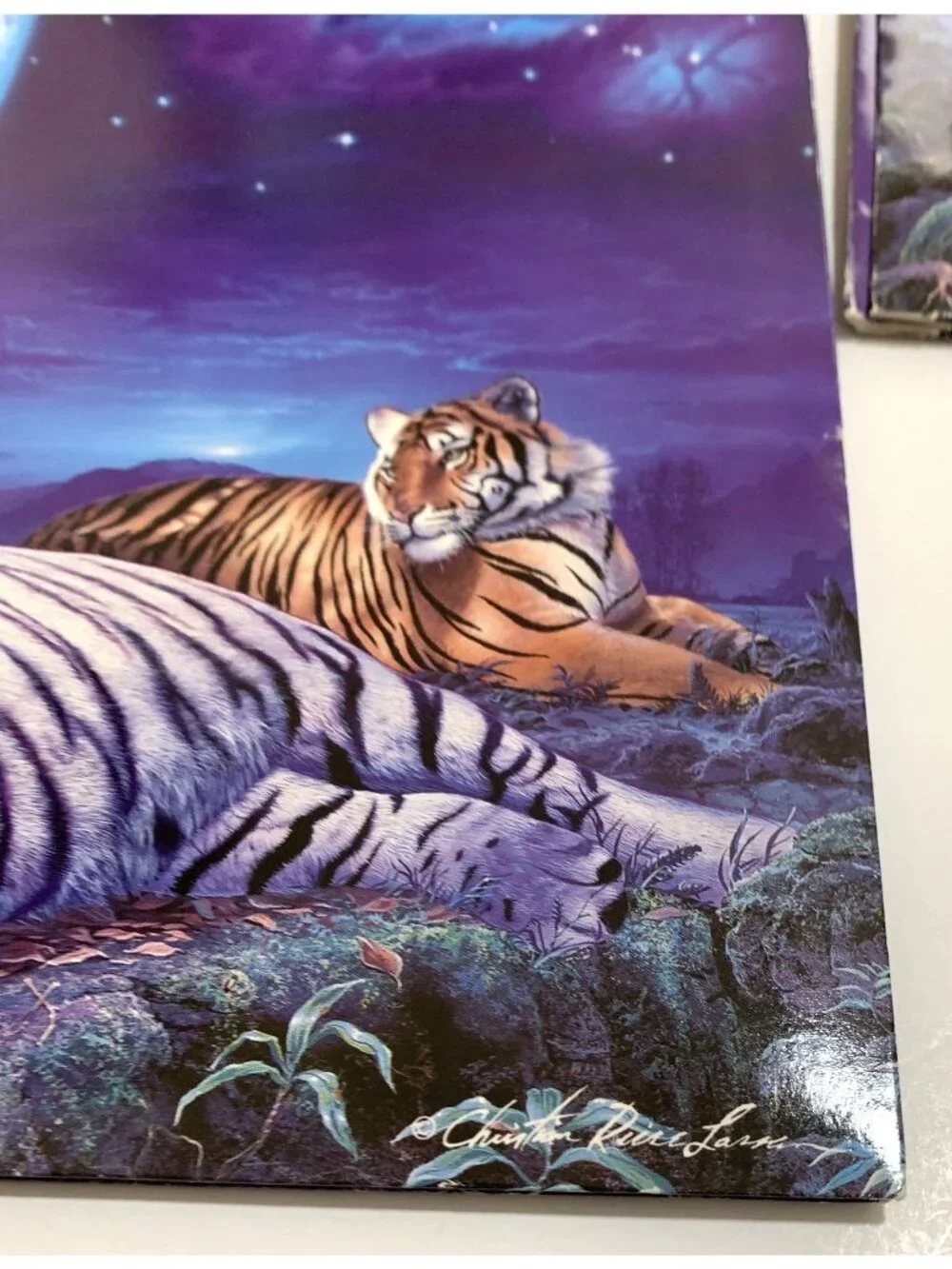 Vintage 2 Mead Christian Riese Lassen Tiger Theme Pocket Folders and 1 Class Act